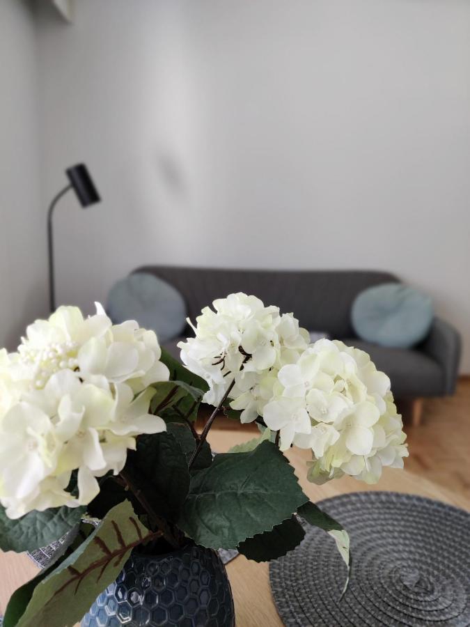 Niinivaara Apartment Saunallinen Ja Ilmastoitu Majoitus يونسو المظهر الخارجي الصورة